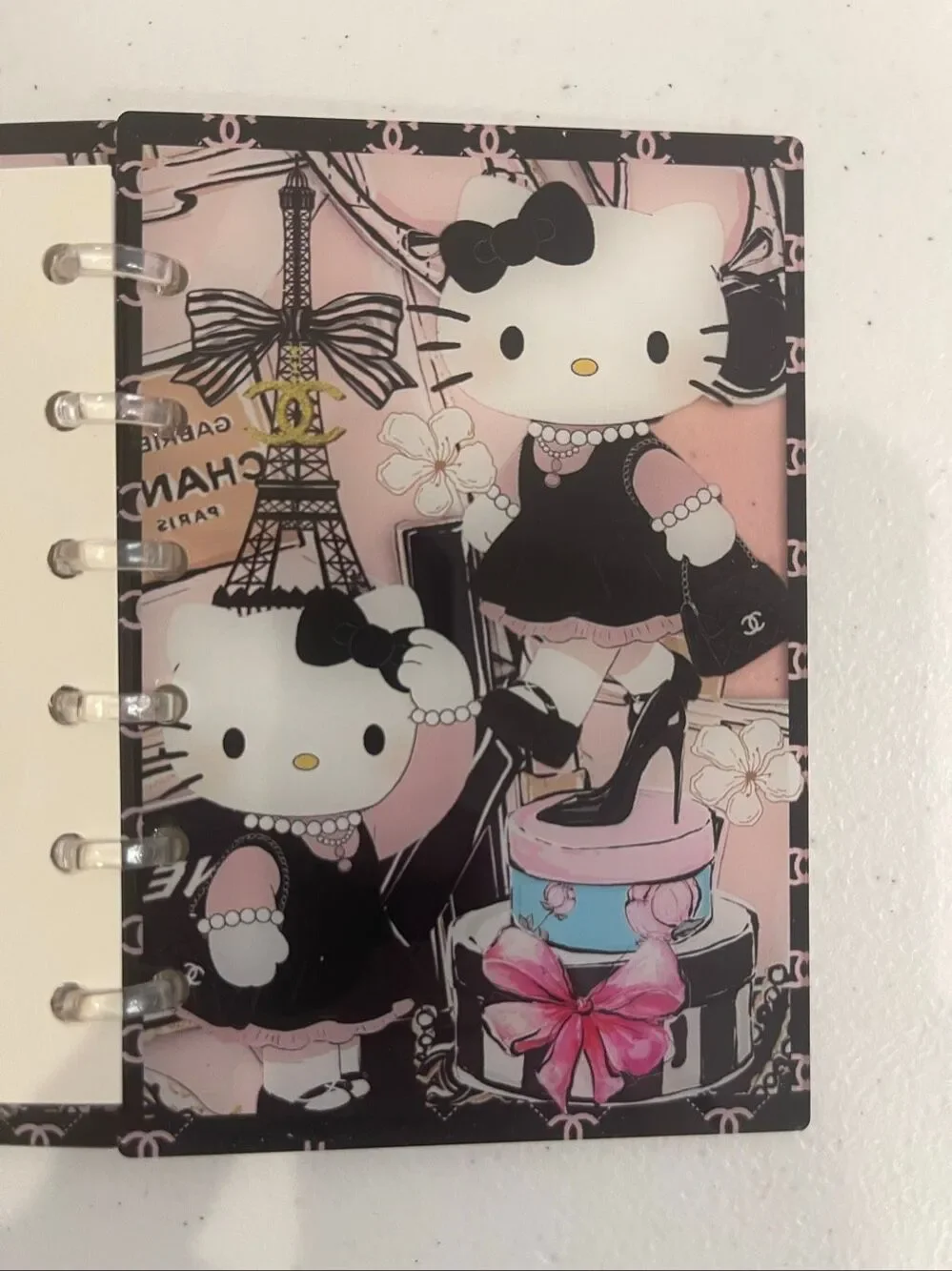 Hello Kitty Acrylic Shaker Chanel and pen